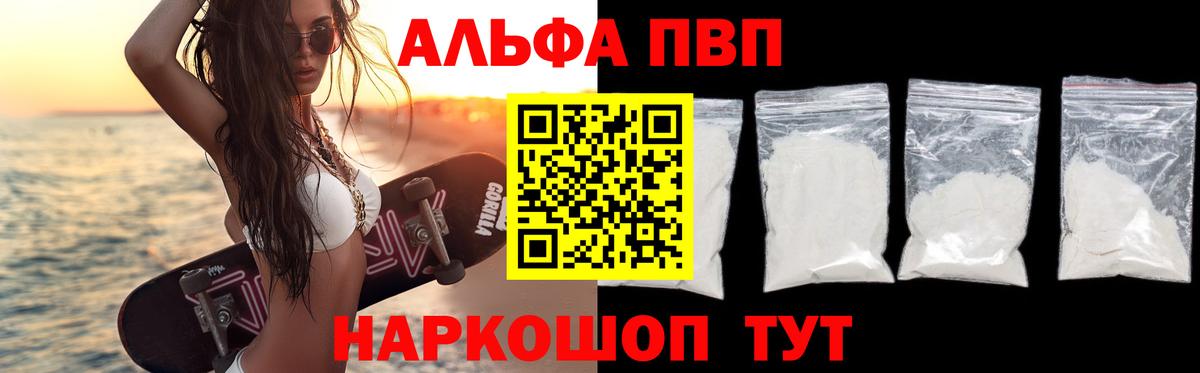 Альфа ПВП СК Санкт-Петербург