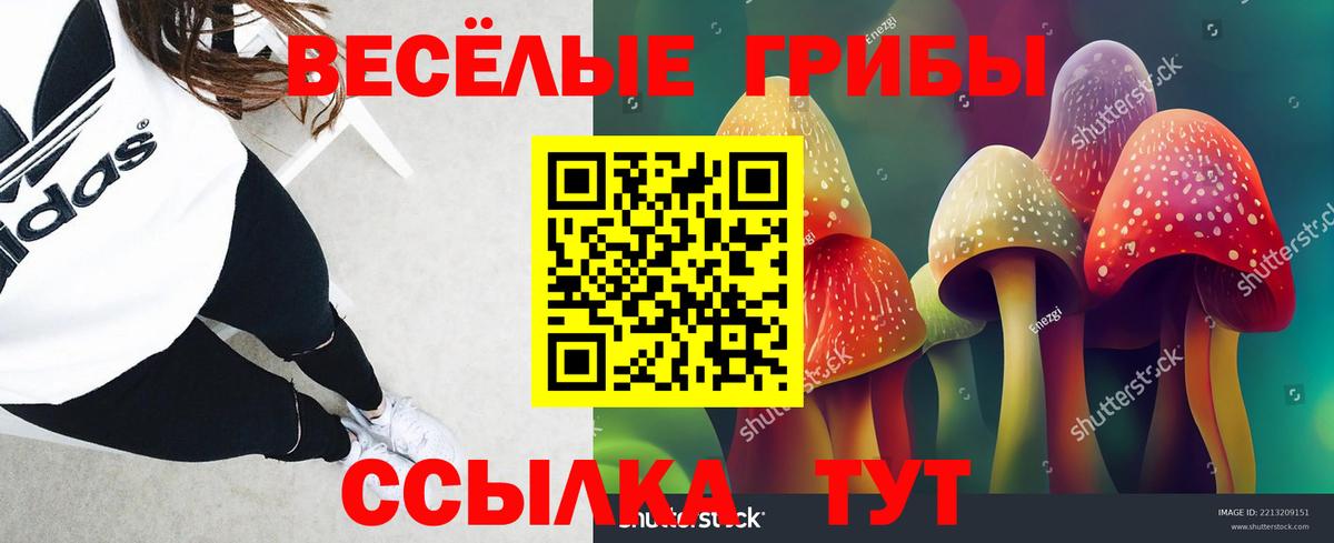 Галлюциногенные грибы мухоморы  Вход с VPN  Санкт-Петербург 